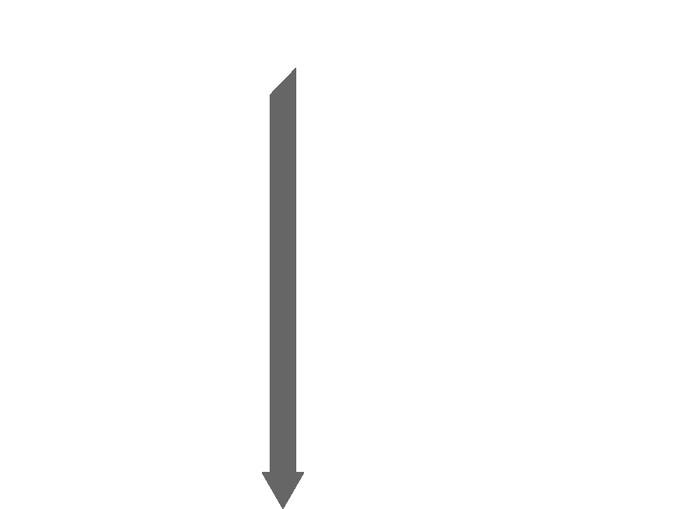 Tribe